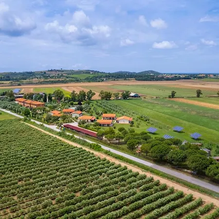 Glamping Gli Etruschi Luxury tent *